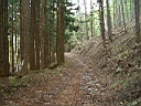 2007-05-16 027.JPG